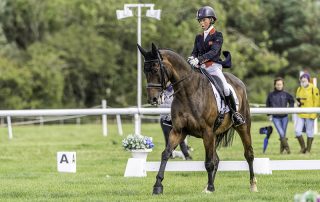 Allstar B Ros Canter