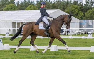 Izzy Taylor Monkeying Around